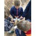 Picoo Premium EDU Set