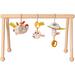 Babygym Earth