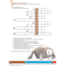 Kerndoeltrainer Tijdvak werkboek groep 6 (5 stuks)