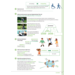Kerndoeltrainer Woordenschat D (5 stuks)