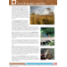 Blokboek geschiedenis groep 6 (herzien) (5 stuks)