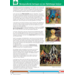 Blokboek geschiedenis groep 7 (herzien) (5 stuks)