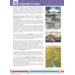 Blokboek geschiedenis groep 8 (5 stuks)