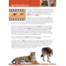 Blokboek natuur groep 7 (5 stuks)