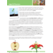Blokboek natuur groep 7 (5 stuks)