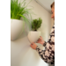 Botaniq 1,25L Wit