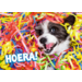 Miniposters 1048 confettidieren, 4 motieven, 20 stuks