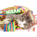 Miniposters 1048 confettidieren, 4 motieven, 20 stuks