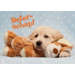 Miniposters 1054 beterschap, 2 motieven, 20 stuks