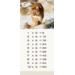 Tafelkaartjes Werelddieren 3022 12 motieven, 120 stuks