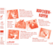 Beloningsstickers 437 roofdieren, 40 motieven, 800 stuks