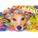 Ansichtkaarten 5747 confettidieren, 4 motieven, 48 stuks