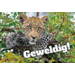 Beloningskaarten Motivatiedieren 4567, 6 motieven, 96 stuks