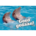 Beloningskaarten Motivatiedieren 4567, 6 motieven, 96 stuks