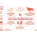 Beloningsstickers 408 boerderijdieren, 36 motieven, 720 stuks