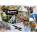 Ansichtkaarten 5753 Dieren in kaders, 4 motieven, 48 stuks