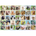 Beloningsstickers 462 Lieve Lentediertjes, 35 motieven, 700 stuks