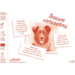 Beloningsstickers 468 Trouwe Viervoeters, 40 motieven, 800 stuks