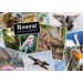 Miniposters 1071 Dieren in Kaders, 4 motieven, 20 stuks