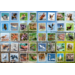 Beloningsstickers 479 Wild in de buurt, 40 motieven, 800 stuks