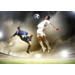 Miniposter 912 Voetbal 4 motieven, 20 stuks