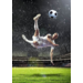 Miniposter 912 Voetbal 4 motieven, 20 stuks
