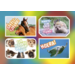 Ansichtkaarten 5760 Felicitatiedieren 4 motieven, 48 kaarten