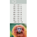 Deelkaartjes 3026 Werelddieren 10 motieven, 120 kaarten