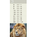 Deelkaartjes 3026 Werelddieren 10 motieven, 120 kaarten