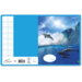 Schriften midicahiers 7,5-5-7,5, dolfijnen, 13,8 x 18 cm, 80 gr (25 stuks)