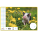 Schriften 4,5-3-4,5, jonge dieren, 16,5 x 21 cm, 80 gr (25 stuks)