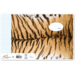 Schriften commerciaal 4x7,5 mm, dierenhuiden, 16,5 x 21 cm, 80 gr (25 stuks)