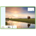 Schriften commerciaal 4x7,5 mm, koeien, 16,5 x 21 cm, 80 gr (25 stuks)