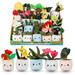 Pluchen plant in pot 12 cm assorti