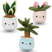 Pluchen plant in pot 12 cm assorti