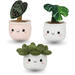 Pluchen plant in pot 12 cm assorti