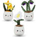 Pluchen plant in pot 12 cm assorti