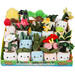 Pluchen plant in pot 12 cm assorti