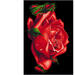 Diamond painting natuur met standaard assorti