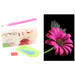 Diamond painting natuur met standaard assorti