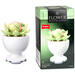 Bouwstenen bloemen in pot assorti