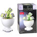 Bouwstenen bloemen in pot assorti