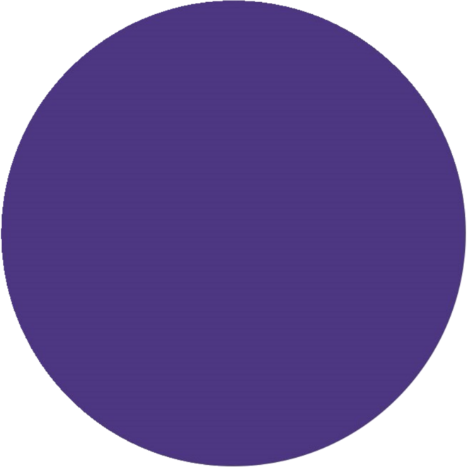 Plakkaatverf | de Rolf groep | topcolor, paars 1000 ml