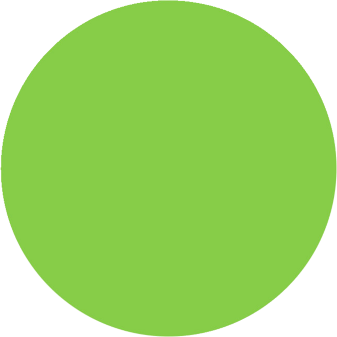 Plakkaatverf Creall Dacta color 1000 ml lichtgroen