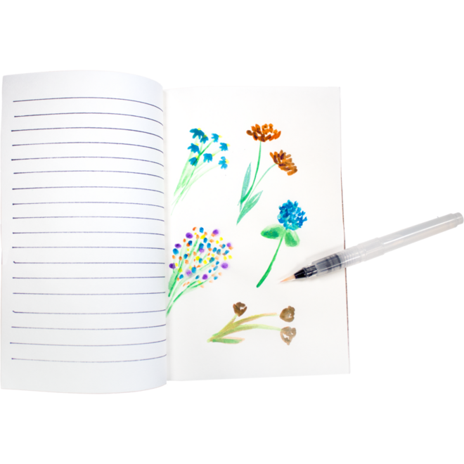 Waterpenseel 15,5 cm assorti, 6 stuks