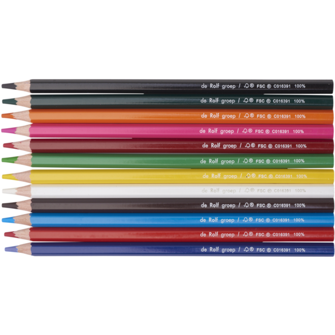Kleurpotloden | de Rolf groep | 3,8 mm assorti, 12 stuks