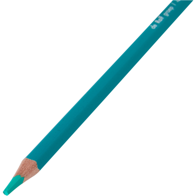 Kleurpotloden | de Rolf groep | turquoise, 12 stuks