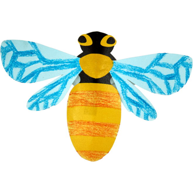 Insecten gestanst, in diverse uitvoeringen, 64 stuks