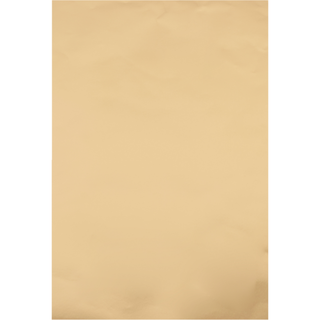 Goudpapier 50 x 65 cm, 10 vel 60 gram