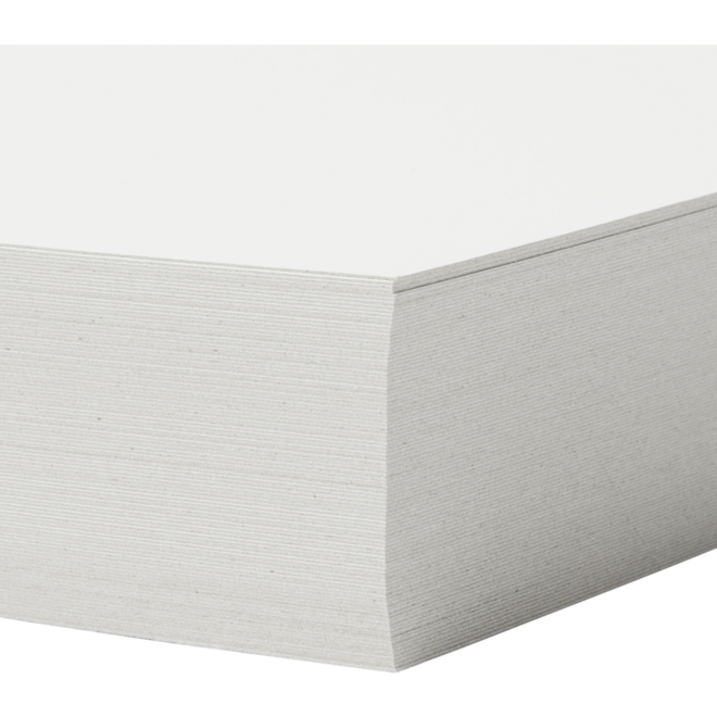Prikkarton 16 x 25 cm 100 vel wit 250 grs.